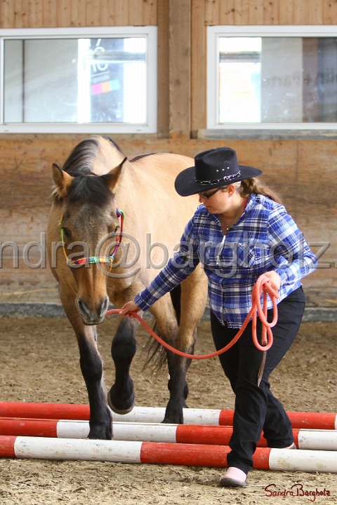 03-OKV-TIH_530.jpg