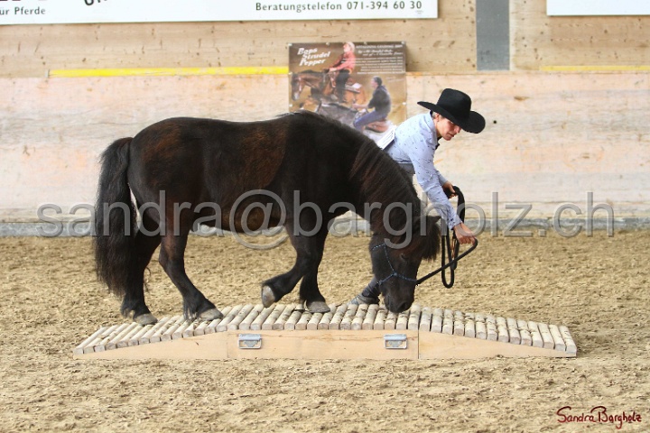 03-OKV-TIH_533.jpg