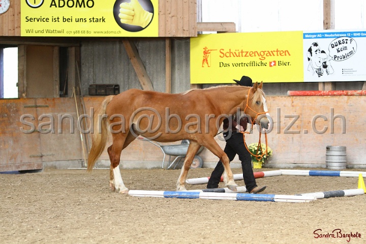 03-OKV-TIH_575.jpg