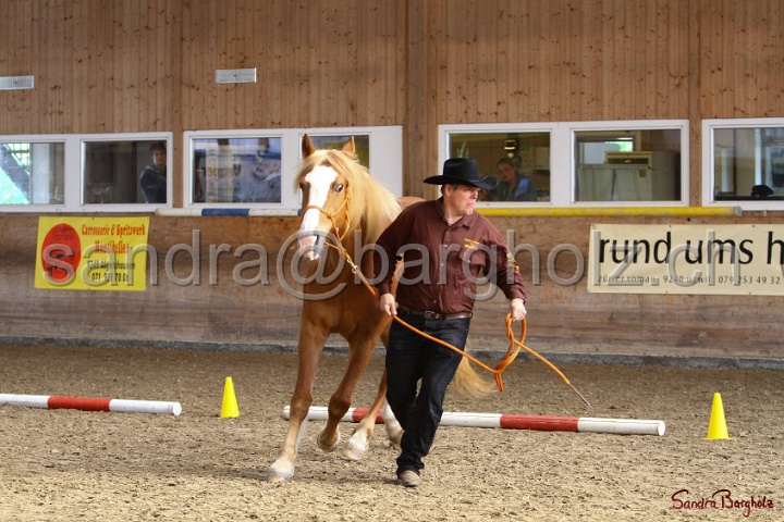 03-OKV-TIH_594.jpg