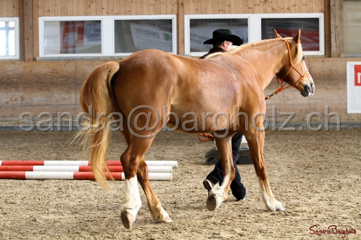 03-OKV-TIH_596.jpg