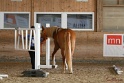 03-OKV-TIH_025