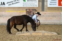03-OKV-TIH_035