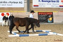03-OKV-TIH_039