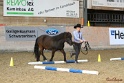 03-OKV-TIH_043
