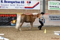 03-OKV-TIH_108