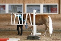 03-OKV-TIH_129