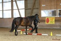 03-OKV-TIH_155