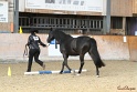 03-OKV-TIH_209
