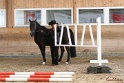 03-OKV-TIH_232