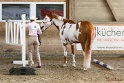 03-OKV-TIH_318