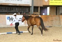 03-OKV-TIH_339