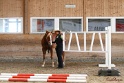 03-OKV-TIH_457