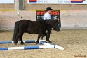 03-OKV-TIH_536