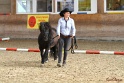 03-OKV-TIH_553