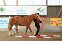 03-OKV-TIH_579
