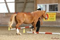 03-OKV-TIH_586