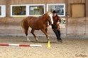 03-OKV-TIH_588