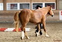 03-OKV-TIH_596