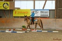 04-OWTT_016