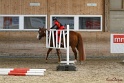 04-OWTT_029