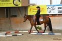 04-OWTT_197