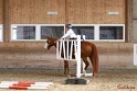 04-OWTT_560