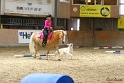 09-HDT_013