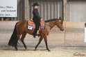 14-OWTWP_004