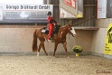 14-OWTWP_015