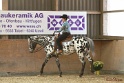 14-OWTWP_034