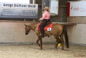 14-OWTWP_059