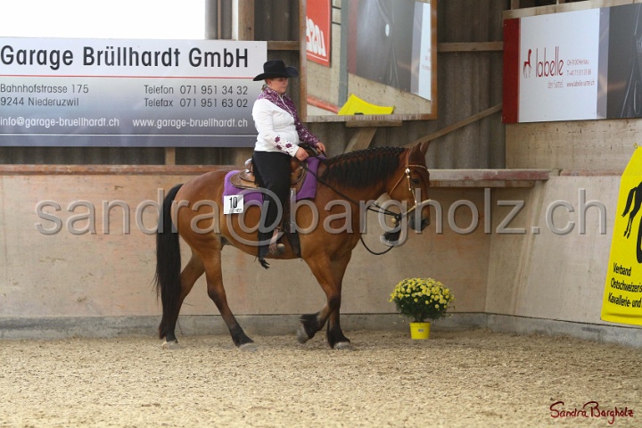 16-OWP_001.jpg
