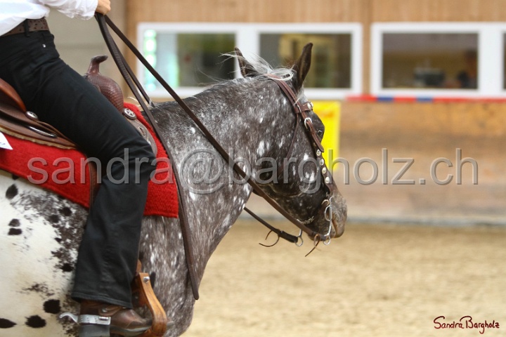 34-AARR_017.jpg