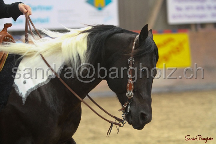 34-AARR_149.jpg