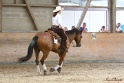 34-AARR_077