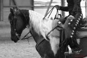 34-AARR_098